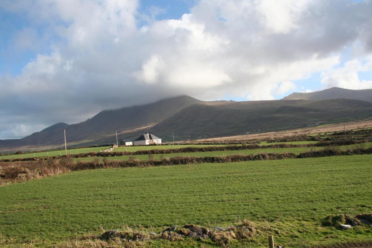 Ballydavid Coill An Rois B&B מראה חיצוני תמונה
