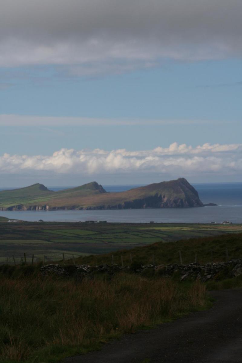 Ballydavid Coill An Rois B&B מראה חיצוני תמונה